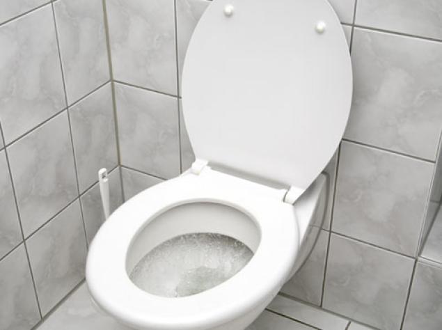 toilet bowl